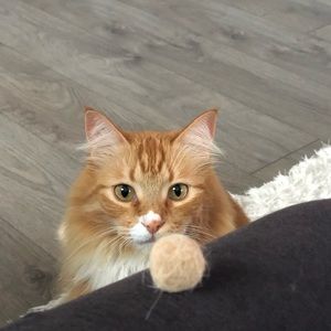 Meet your Posher, Catherine